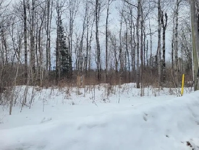 LAND FOR SALE, 44 POPLAR ROAD, MATTAWA ONTARIO Image# 1