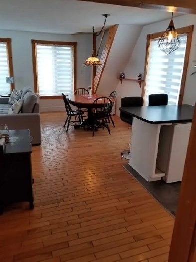 Chalet meublé et chauffé Image# 1