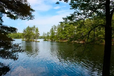 KASSHABOG LAKE- 4 Waterfront Lots- 3  acres each Image# 5