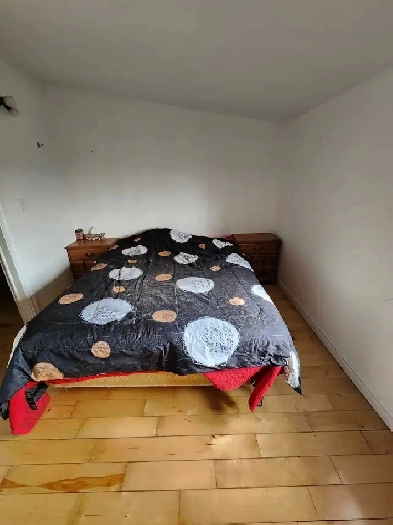 chambre à louer Image# 3