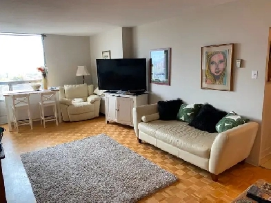Westboro furnished one bedroom overlooking river Image# 2
