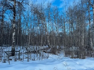 Range Road 14 Rural Ponoka County, AB T0C 0M0 Image# 1
