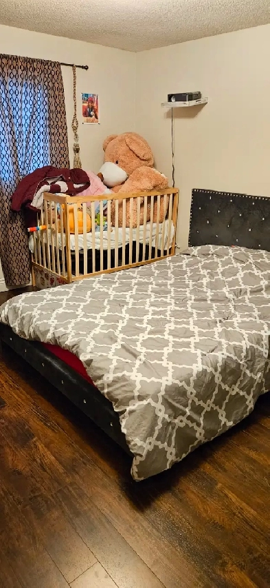 Room for rent Image# 1