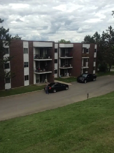 1 bedroom unit for may 1st pet friendly Image# 1