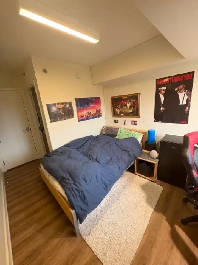 Summer Sublet for Students (Personal Washroom   Living room) Image# 4