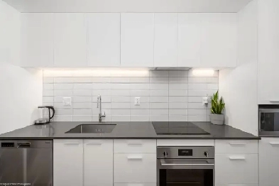 Fully-Furnished brand new Studio for Rent starting May 1st Image# 8