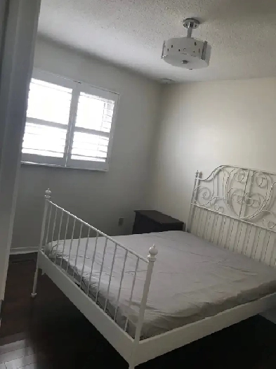 A room for rental Eglinton & Creditview Image# 2