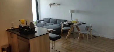 Condo 3½ Tout Inclus | All-Inclusive 1-Bed Condo (Metro Namur) Image# 9