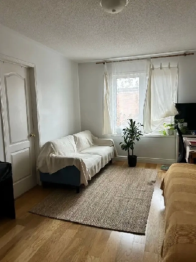 York Village For Female Room Rent Image# 9