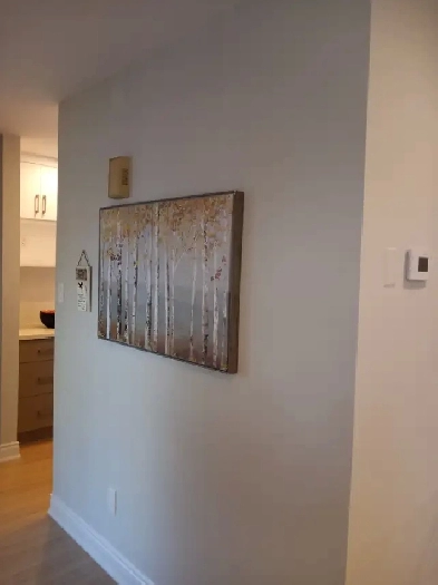 house for rent Image# 1