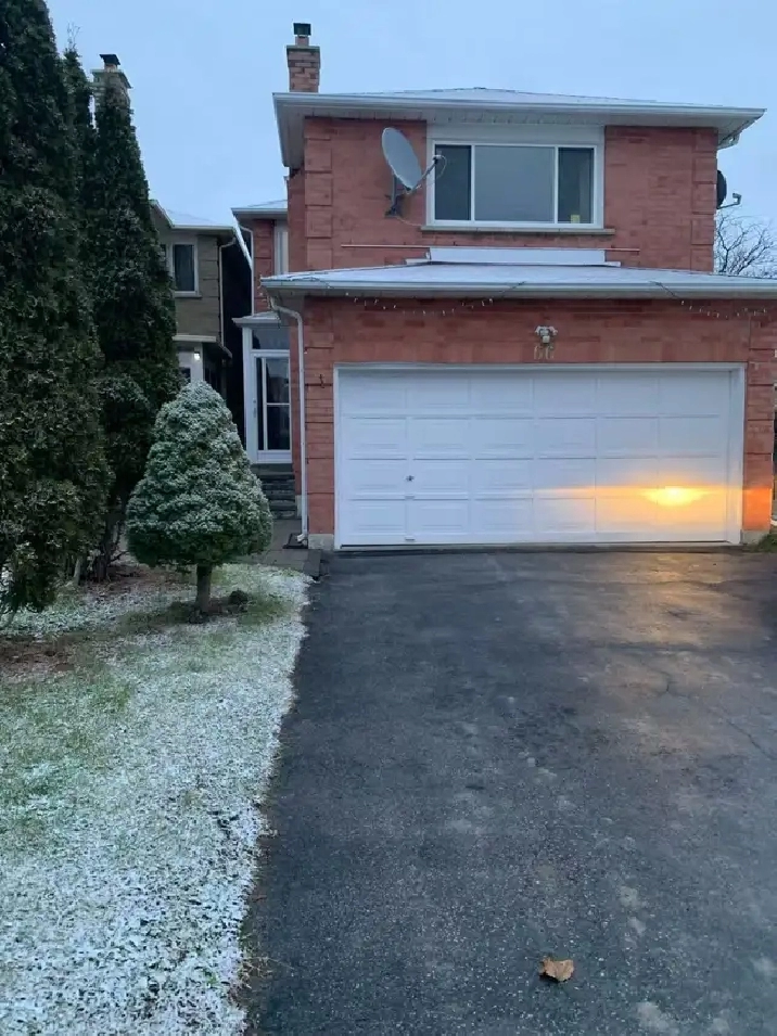 Rent basement in City of Toronto,ON - Apartments & Condos for Rent