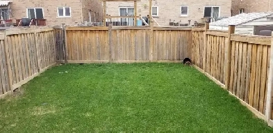 3 Bed house - Semi - near Mount Pleasant GO - available for Sale Image# 1