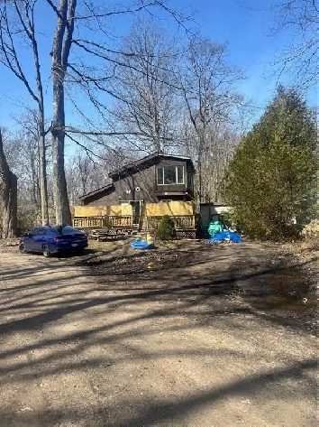 COTTAGE IN BEAUTIFUL IPPERWASH BEACH Image# 1