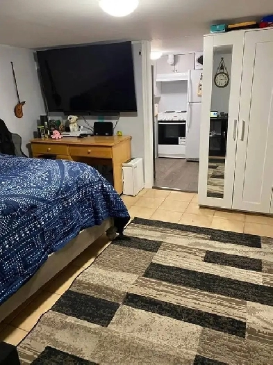Basement bachelor apartment. Image# 2