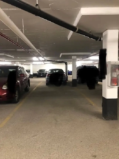 $99-Underground Parking- NOW-StorageOnly-DonMills/Eglinton-Toro Image# 1