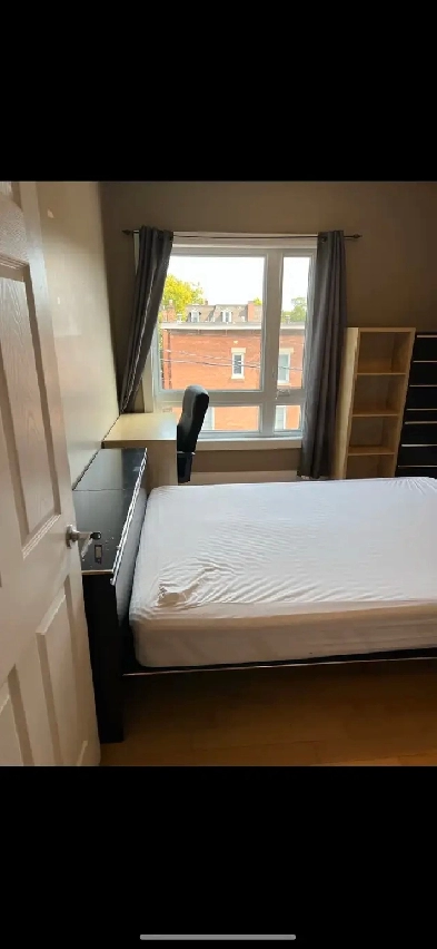 STUDENT Room Rental - June 1st (Sandy Hill / Ottawa U A Image# 5