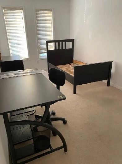 1 Left - Mississauga Private Room For Rent Single Professionals Image# 1