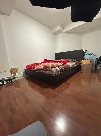 2 Bedroom Basement for Rent Image# 1