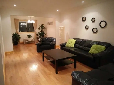 Nicely Furnished Bedroom in the Heart of Mississauga-May 1st Image# 1