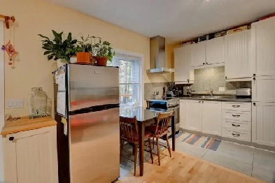Appartement 3 1/2 au coeur du village de Val-David Image# 1