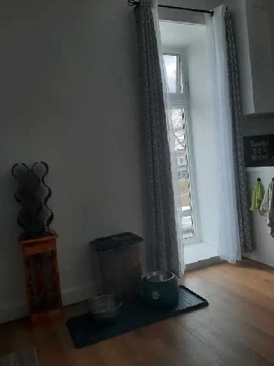 looking for apartments Image# 1