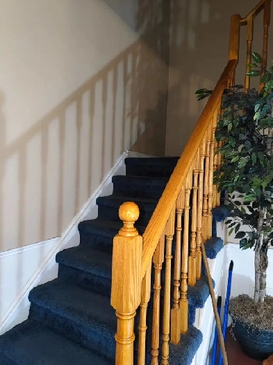 Large Private Cozy Second Floor Room for rent Image# 1