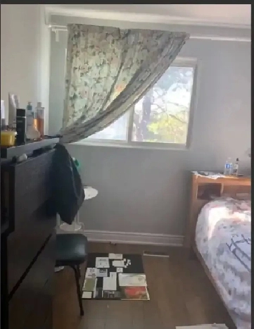 Finch room for yonge guy Image# 1