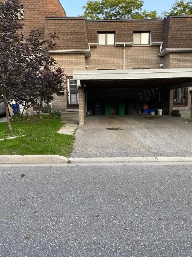 Modern Bachelor Basement Apartment  All Inclusive $1150/monthly Image# 14