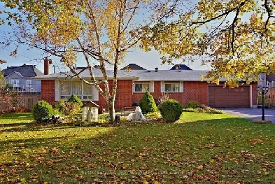 4 bed 3 bath house - Yonge St and King Rd Image# 4