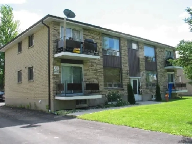 BASEMENT TWO BEDROOM APARTMENT Image# 1