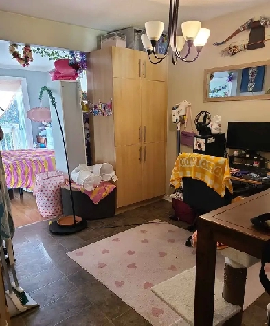 Jolie appartement 1 chambre à Cantley 4 min de Saint-Alexandre Image# 1