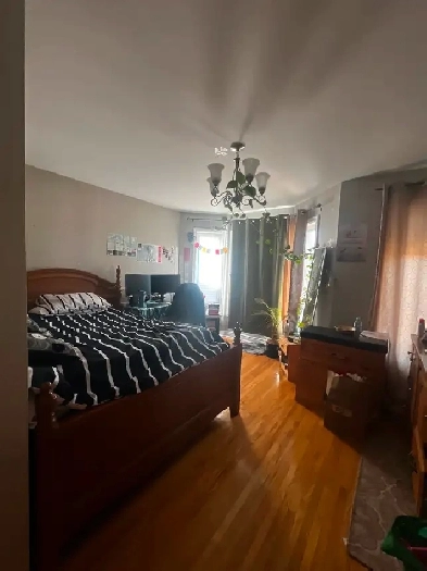 Large Furnished Room for Female Main/Danforth Image# 1