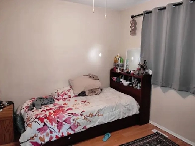 Conveniently Located.  Second Floor Room for rent Image# 1