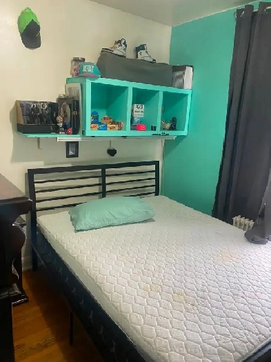 Freshly painted room for rent minutes away from keele campus Image# 5