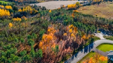 420 Butler Farm - Kemptville - Hamre Real Estate Image# 1