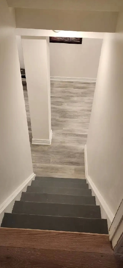 One Bedroom Basement for Rent in New Market (Yonge & Mulock Dr.) Image# 2