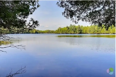 (RARE) 150 Acres with Lakefront,1Hr north of Montreal Image# 5