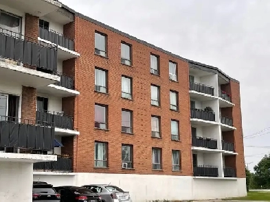 Bachelor Apartment -Kitchener Image# 1