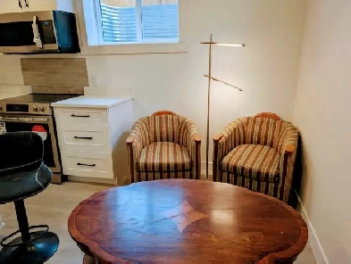 Cozy, Newly Constructed Basement Suite 2 bedroom Evanston Image# 10