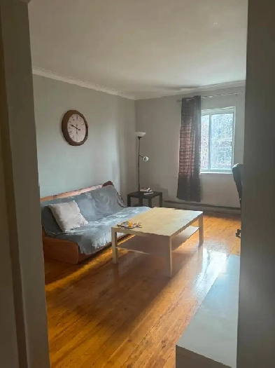 Joli 3 1/2 meublé quartier Villeray Image# 1