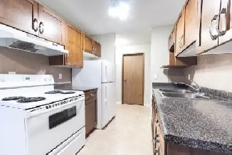 1 Bedroom 1 Bathroom Apartment for rent Image# 8