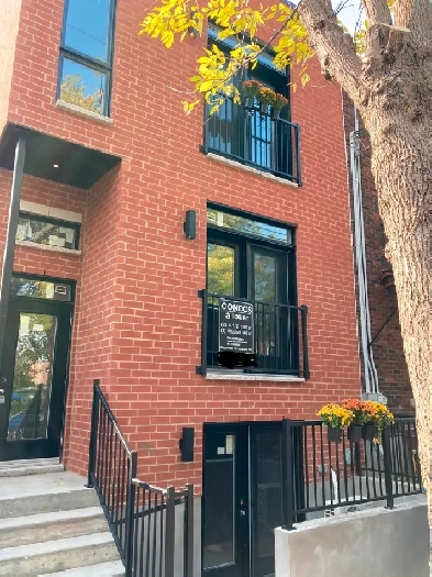 4 1/2 à louer - Hochelaga Maisonneuve - 1er juillet 2025 Image# 1