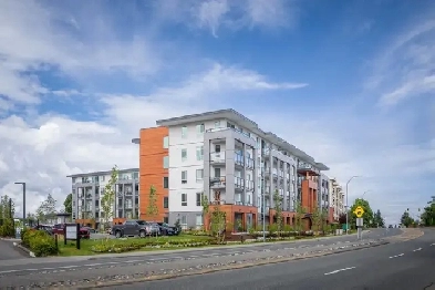 Nanaimo 2 Bedroom - 2 bath plus Den Apartment for Rent: 50  Adul Image# 10