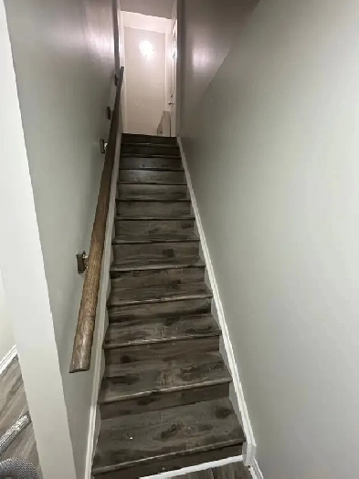 1 Bedroom plus a den with 1 Bath Legal Basement for $1700 Image# 5