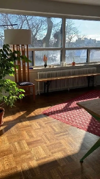 1 bed 1 bath apartment for rent starting June 1 or May 1 Image# 3