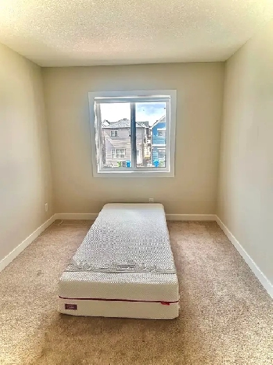 1 Room for rent in homestead park northeast Image# 1