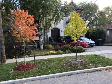 Bright One Bedroom Basment Apartment In NORTH YORK Image# 7