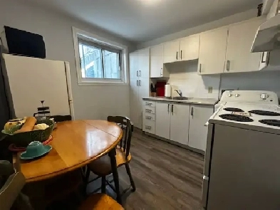 Saint Laurent - 3 1/2 - Sous Sol A Louer Image# 1