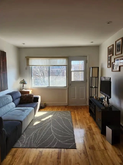 4 1/2 à 100m du métro Pie IX Image# 1