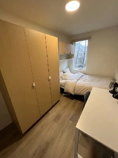 Room for rent - summer sublet Image# 3
